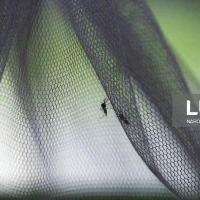 Angola inicia fabrico de mosquiteiros para combater a malária este ano