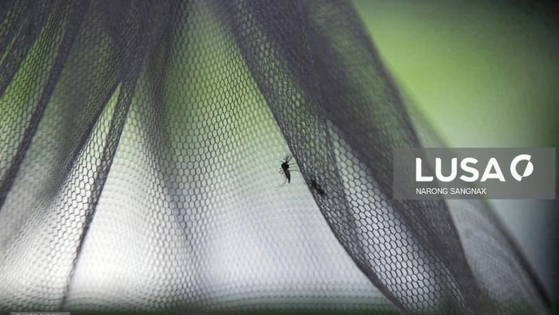 Angola inicia fabrico de mosquiteiros para combater a malária este ano