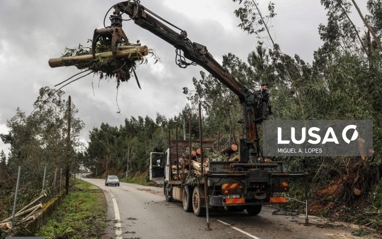 Campanha do Turismo de Portugal convida portugueses a redescobrirem país após tempestades