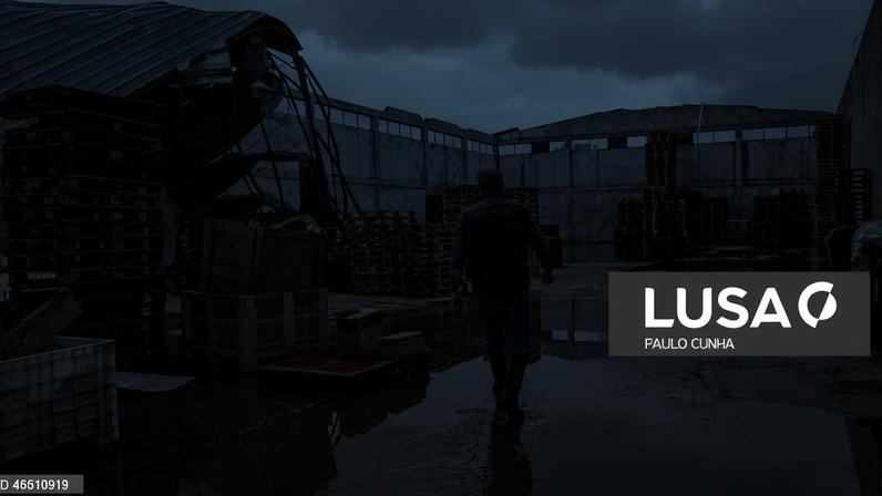 Mau tempo: Empresas com 1.566 ME já contratados dos apoios à reconstrução