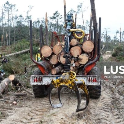Marinha Grande limpa 154,22 km de caminhos florestais