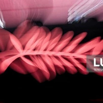 Cineastas angolanos buscam em Cannes entrada em circuitos internacionais