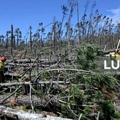Mais de 17 mil km de caminhos florestais desobstruídos