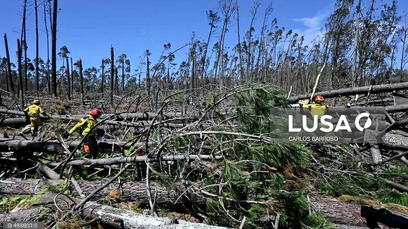 Mais de 17 mil km de caminhos florestais desobstruídos