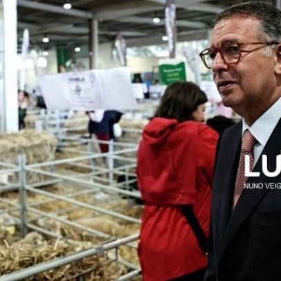 Seguro destaca contributos da agricultura na prevenção de incêndios