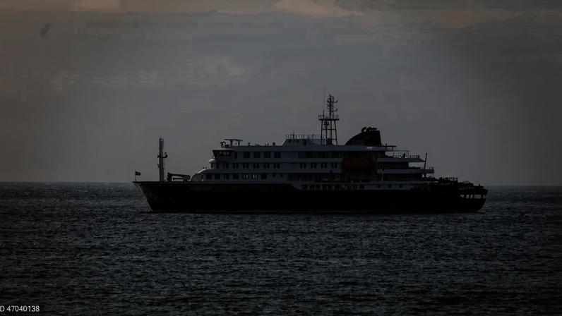 Infeção terá ocorrido fora do navio onde se declarou surto de hantavírus - OMS