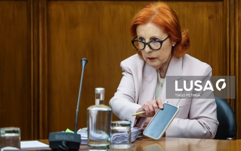 Governo quer reduzir para metade dependência energética em oito anos - ministra