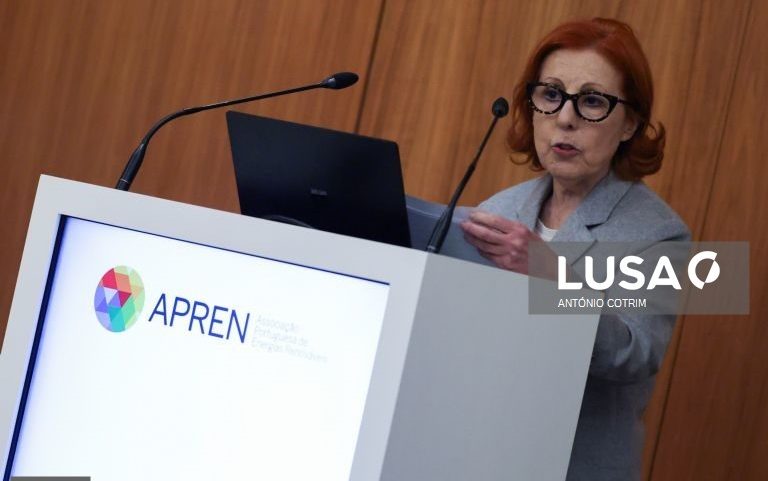 Governo quer reduzir para metade dependência dos combustíveis em 8 a 10 anos - ministra