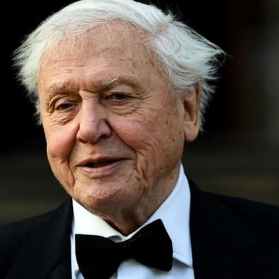 David Attenborough celebra 100 anos como lendário naturalista britânico