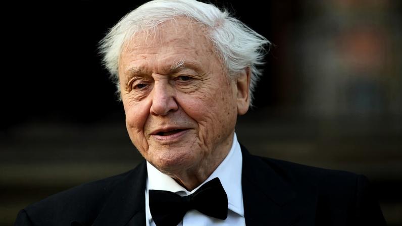 Famoso naturalista britânico David Attenborough completa 100 anos