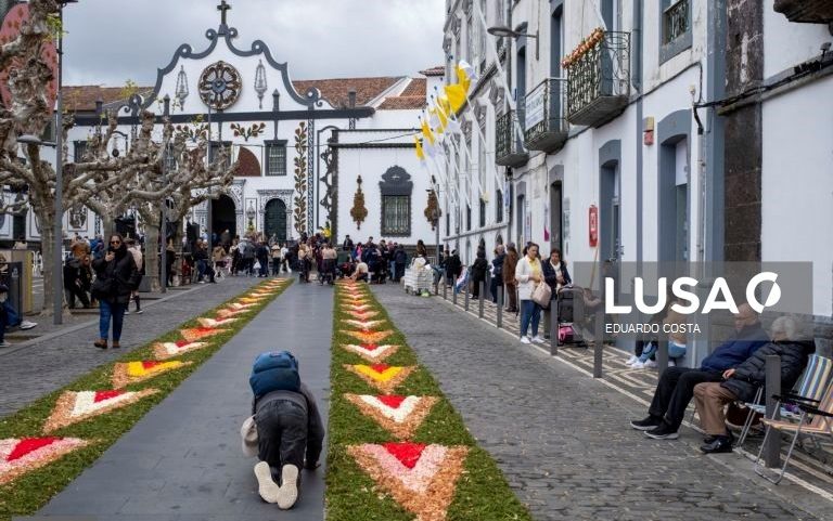 Festival de flores colore ruas de Ponta Delgada na passagem do Santo Cristo