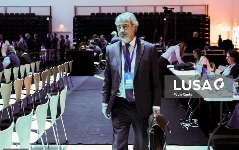 Nuno Correia da Silva considera que CDS pode ser mais na coligação com o PSD