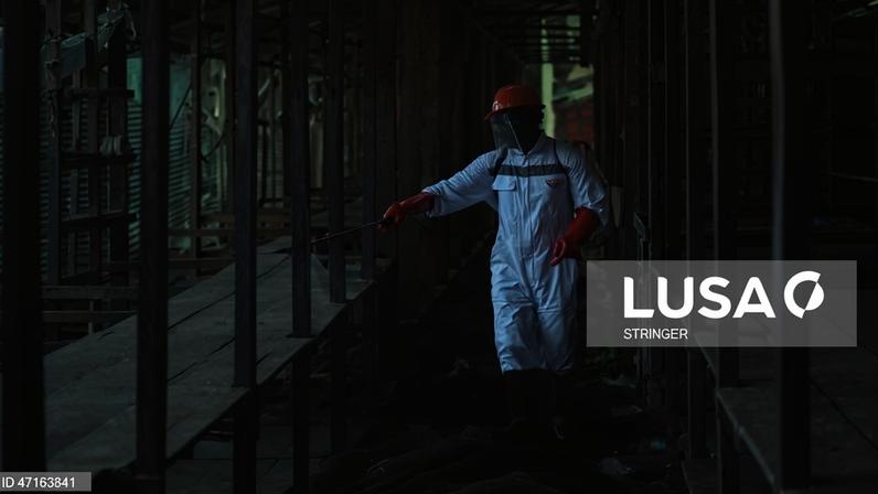 Centro europeu de doenças reforça apoio ao Congo risco de ébola na UE é baixo