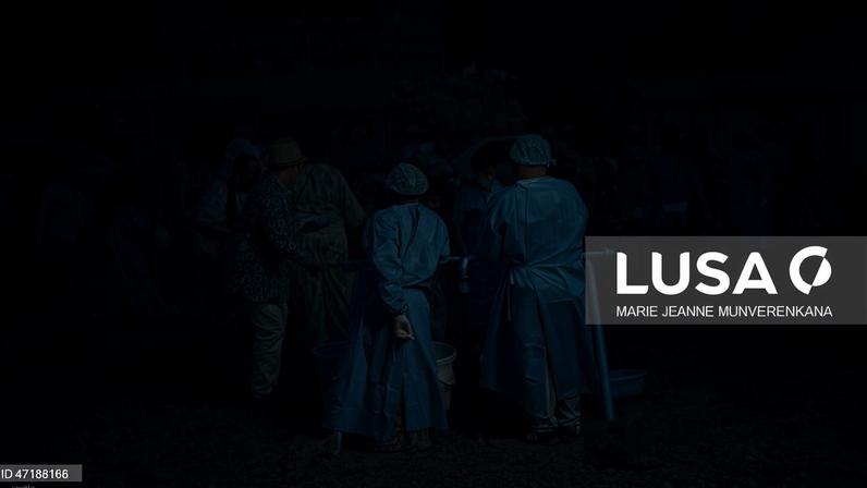 OMS eleva para 223 as mortes suspeitas por ébola na RDCongo