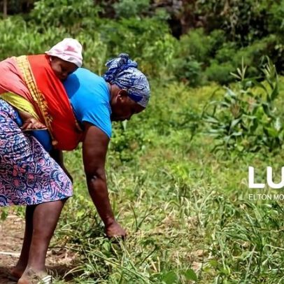 Agricultores solicitam investimento para manter um oásis em Cabo Verde
