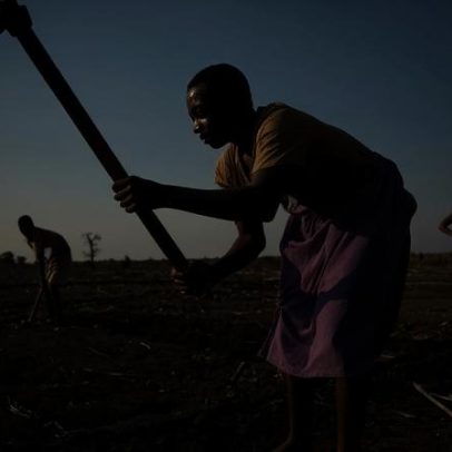 Governo angolano reduz juros para créditos agropecuários