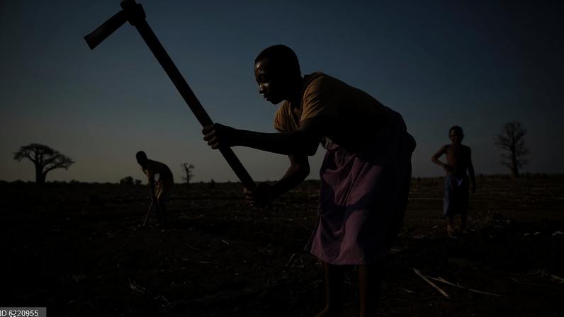 Governo angolano reduz taxa de juro para créditos agropecuários