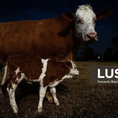 Governo brasileiro recebe veto da UE a importação de carnes e pretende revertê-lo