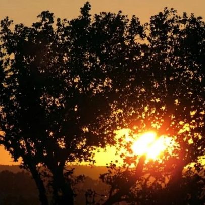 UNESCO quer primeiro geoparque CPLP até 2036 em África ou Ásia