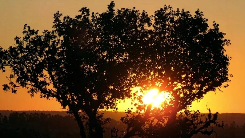 UNESCO quer primeiro geoparque CPLP até 2036 em África ou Ásia