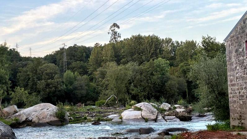 Quatro jovens e cão resgatados de ilhota em Braga; segundo caso da semana