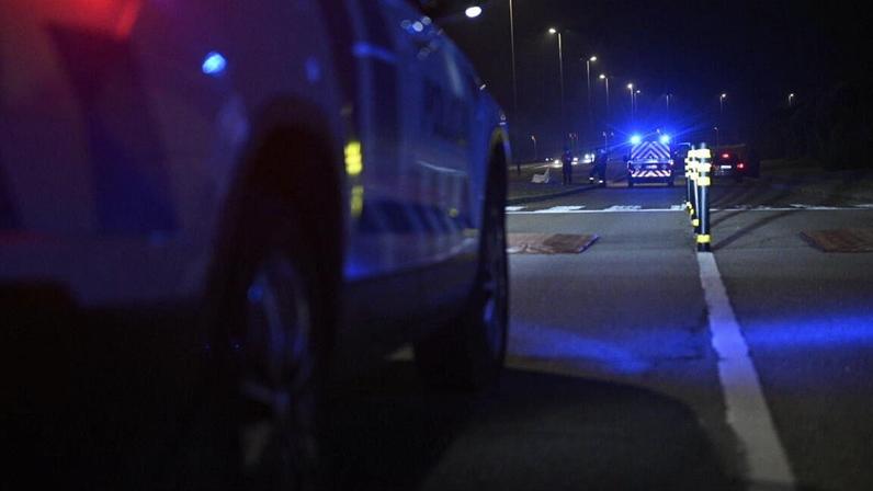 Homem e cão atropelados e mortos em passadeira de Leça; condutor fugiu