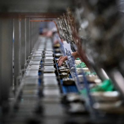 Assédio laboral em Portugal atinge 38,3% e expõe vulnerabilidade organizacional