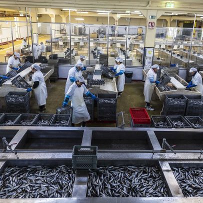 Pobreza em Portugal estagna em 2025 após queda, alerta Eurostat