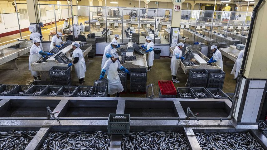 Pobreza em Portugal estagna em 2025 após queda, alerta Eurostat