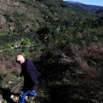 Municípios pedem estudos de impacto económico-ambiental na barragem de Girabolhos