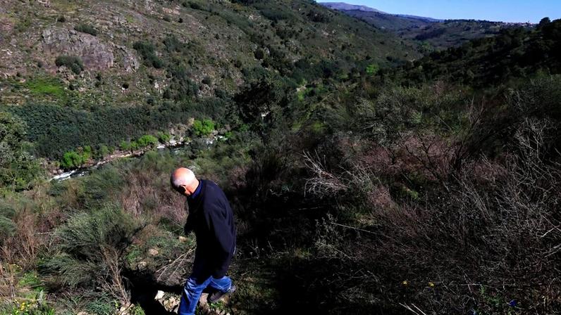 Municípios pedem estudos de impacto económico-ambiental na barragem de Girabolhos