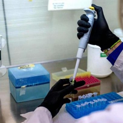 Oito casos de hantavírus na estirpe dos Andes confirmados