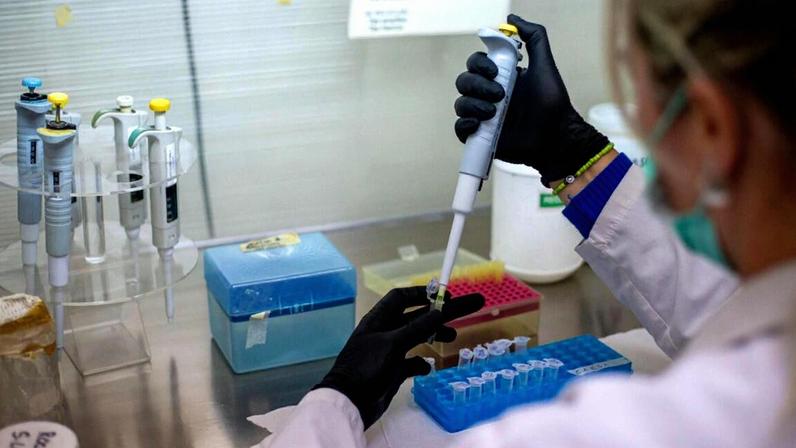 Oito casos de hantavírus na estirpe dos Andes confirmados