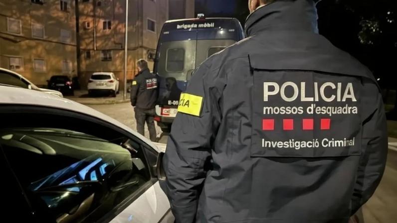 Mil moedas do século XIX e ânfora encontradas na casa de arqueólogo espanhol