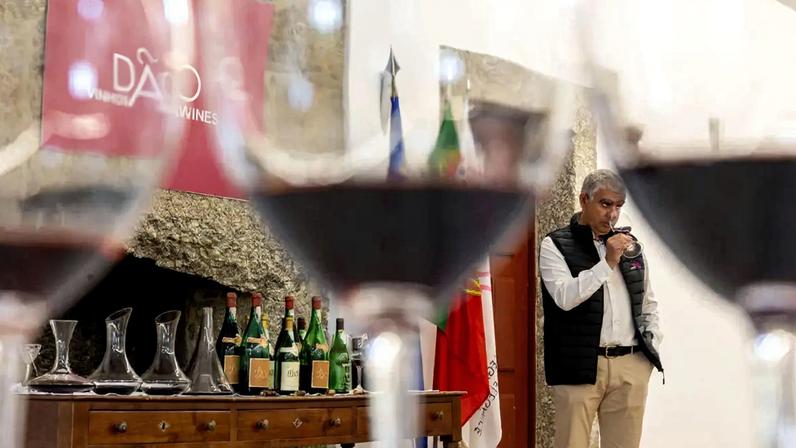 Arrumações revelam tesouros engarrafados no Dão há mais de meio século