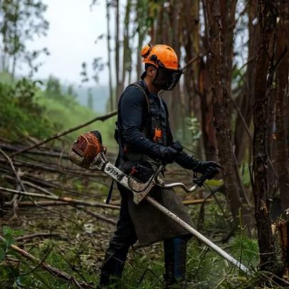 Prazo para limpeza de terrenos prorrogado até 30 de junho em todo o país