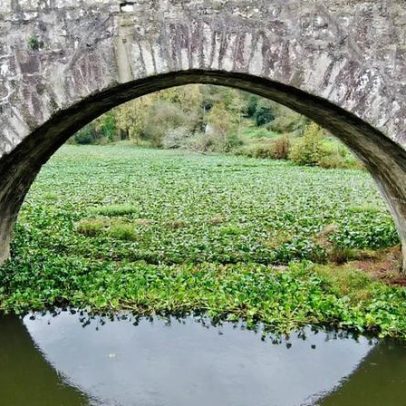 Presidente de junta de Ponte de Lima morre em acidente com trator