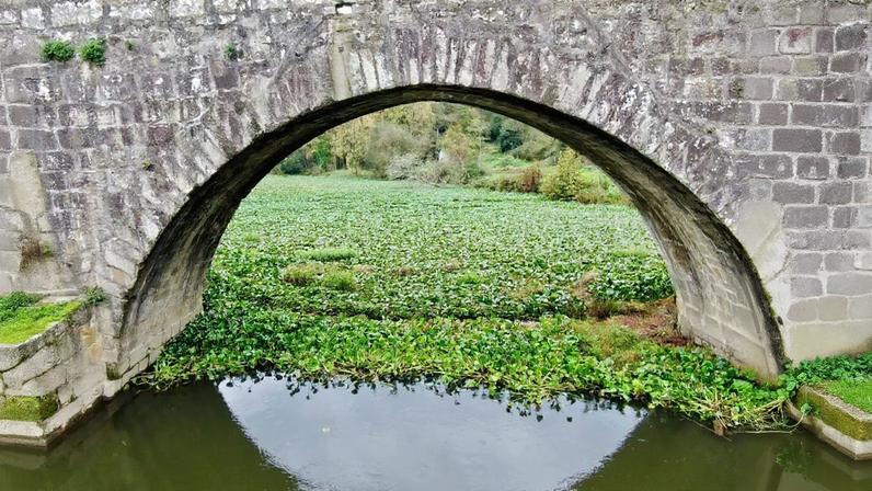 Presidente de junta de Ponte de Lima morre em acidente com trator