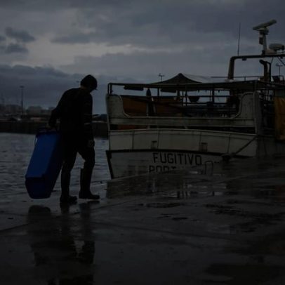 Sardinha volta a chegar em abundância, mas preço sobe