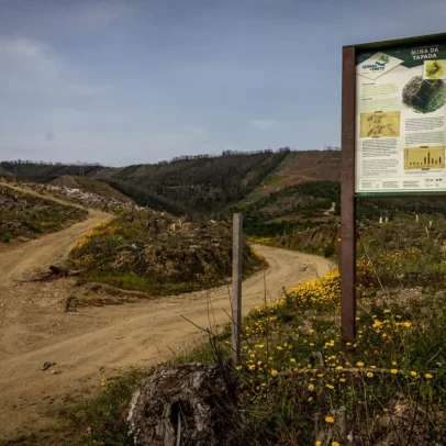 Joia da natureza nasceu há dez anos pela ação de três concelhos junto ao Porto