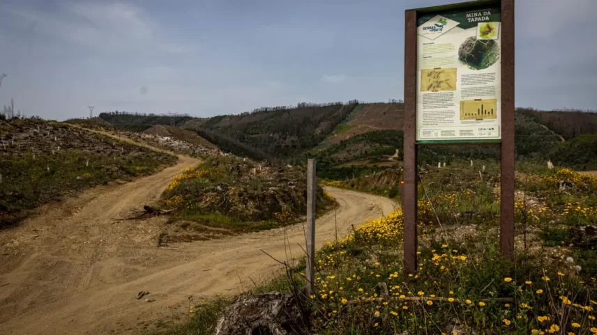 Joia da natureza nasceu há dez anos pela ação de três concelhos junto ao Porto
