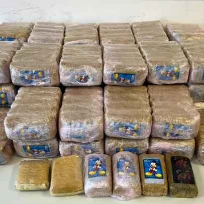 31 mil doses de haxixe escondidas em vegetação após despiste de automóvel