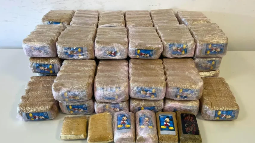 Estupefaciente escondido no mato que foi apreendido pela GNR