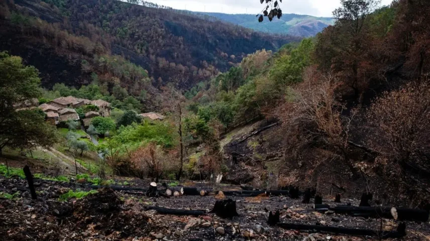 Terrenos com nova legislação