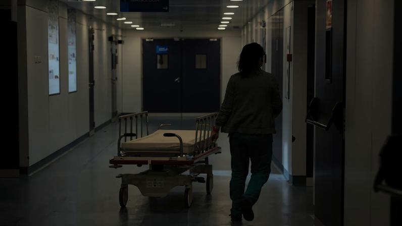 Seis países registam casos de hantavírus: infectados confirmados