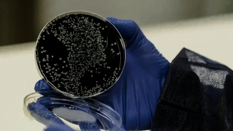 Legionella detetada numa escola de Faro