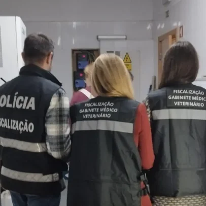 Mais de 400 kg de alimentos impróprios apreendidos em restaurante de Sintra