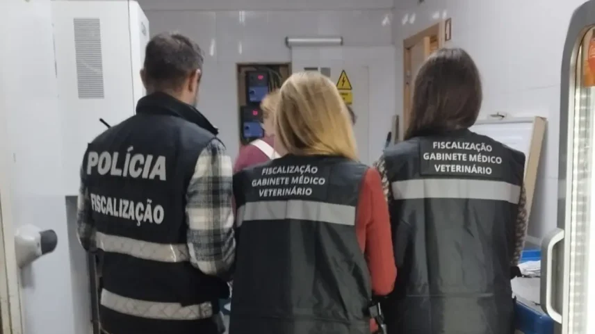 Mais de 400 kg de alimentos impróprios apreendidos em restaurante de Sintra