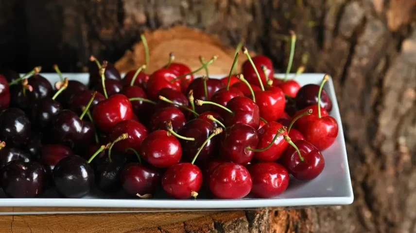 Cerejas ajudam recuperação muscular e sono, diz nutricionista