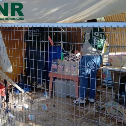 GNR apreende mais de 800 litros de aguardente de medronho ilegal em Loulé